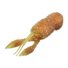 Great Lakes Finesse Juvy Craw 2.5-inch side profile shows realistic crawfish shape.