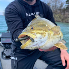 Great Lakes Finesse Snack Craw 2.1 features floating body and claws for enticing bites