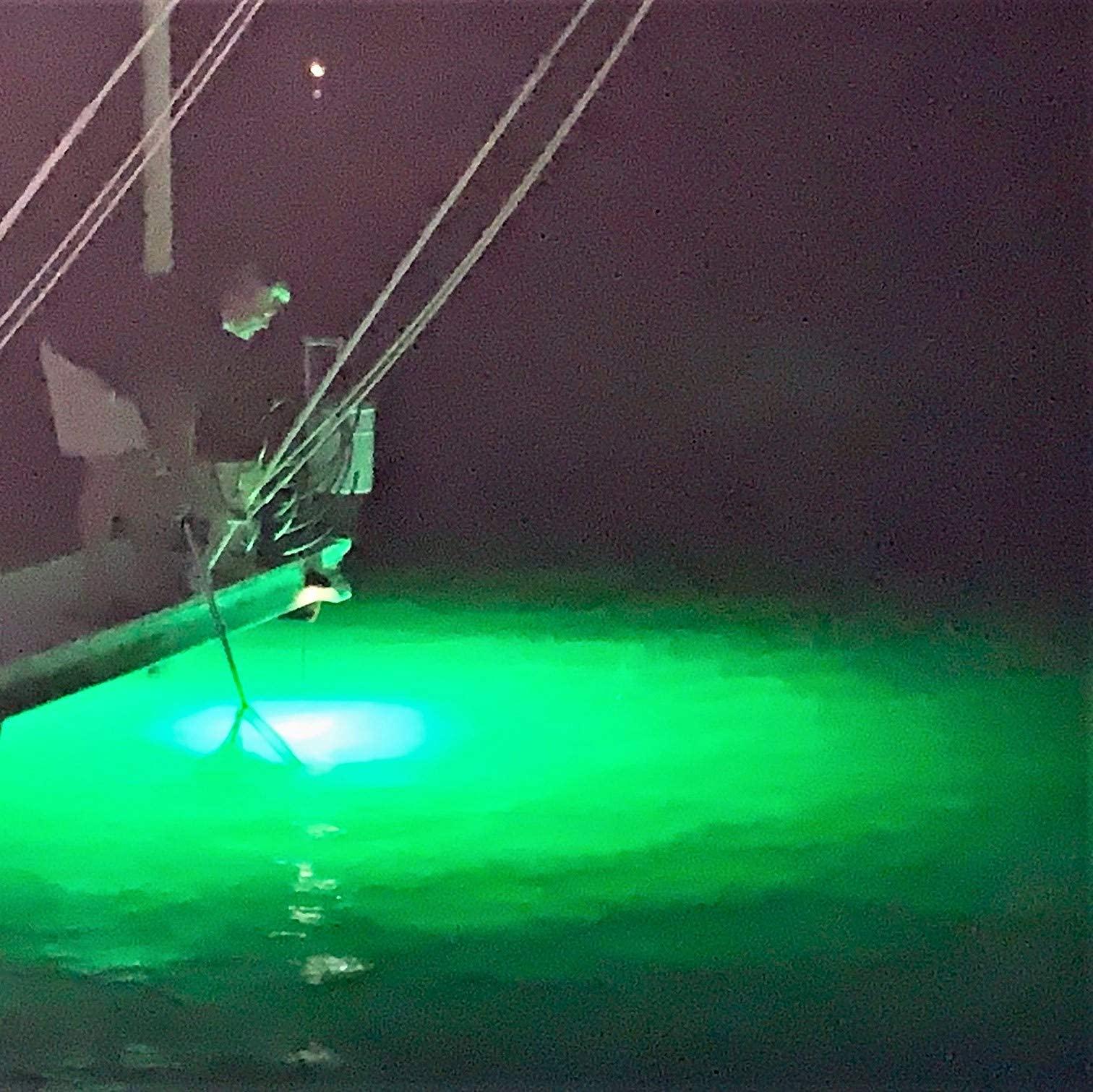Green Blob Outdoors nighttime fishing glow transforms a pier into a lure-filled scene.
