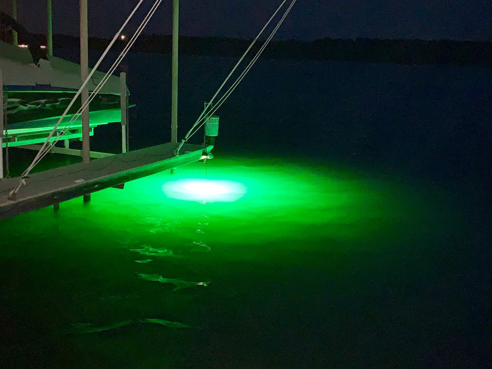 Green Blob Outdoors backyard aquarium glow from underwater light at night