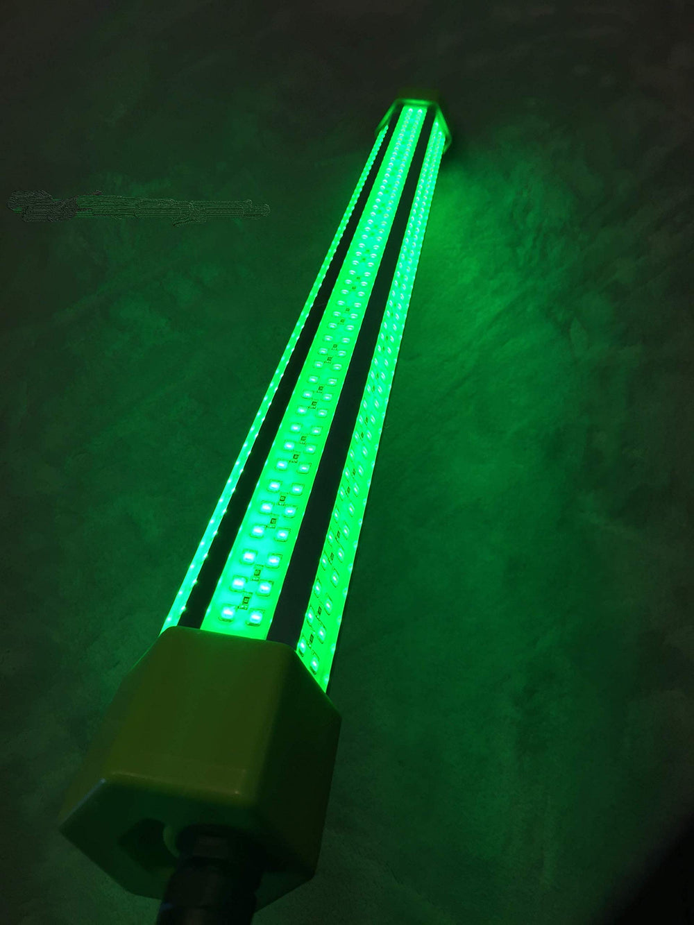 Close-up of Green Glow Dock Light submerged in water for clear view.