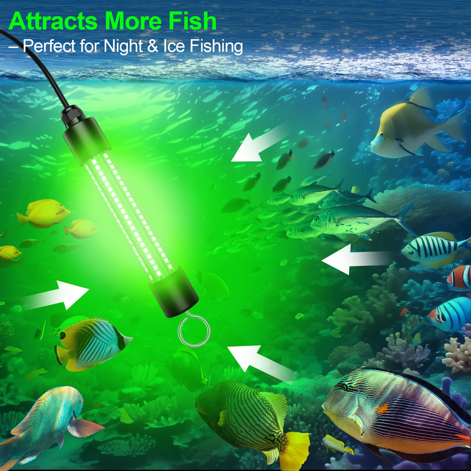 Green light attracting fish in murky water at night.
