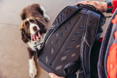 Gregory Nano 16L airmesh shoulder harness supports comfortable carrying