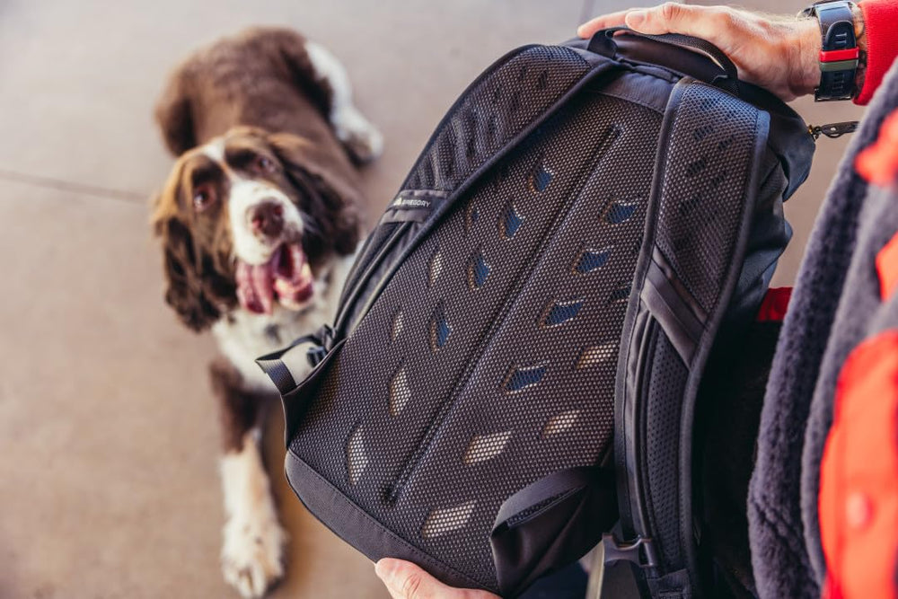 Gregory Nano 16L top pocket with key clip for essentials.