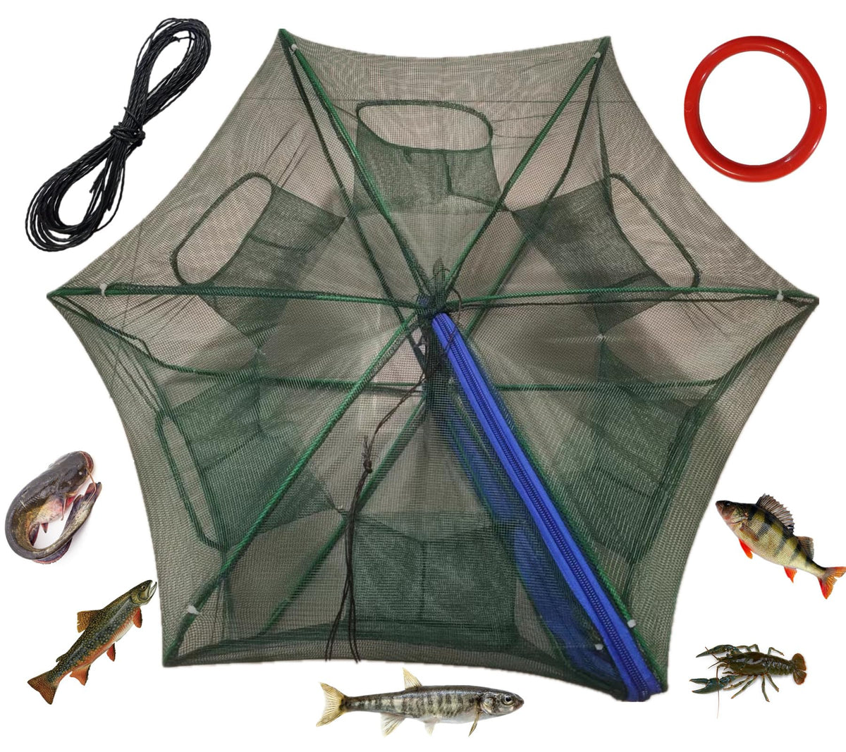 Grinmood Minnow Trap 6-Hole Folding Net - front view