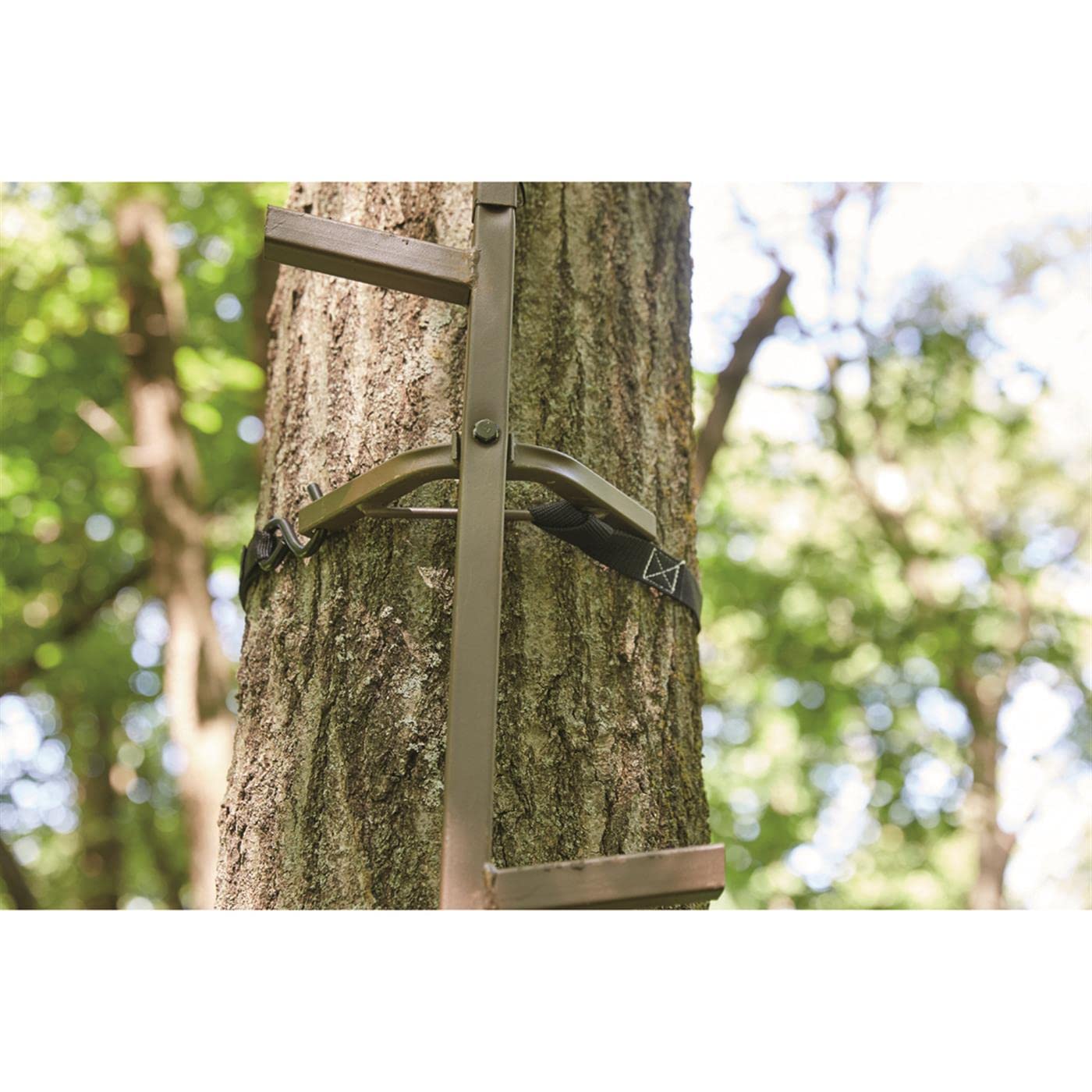 Guide Gear 20ft kit reaches elevated vantage points with comfortable climb