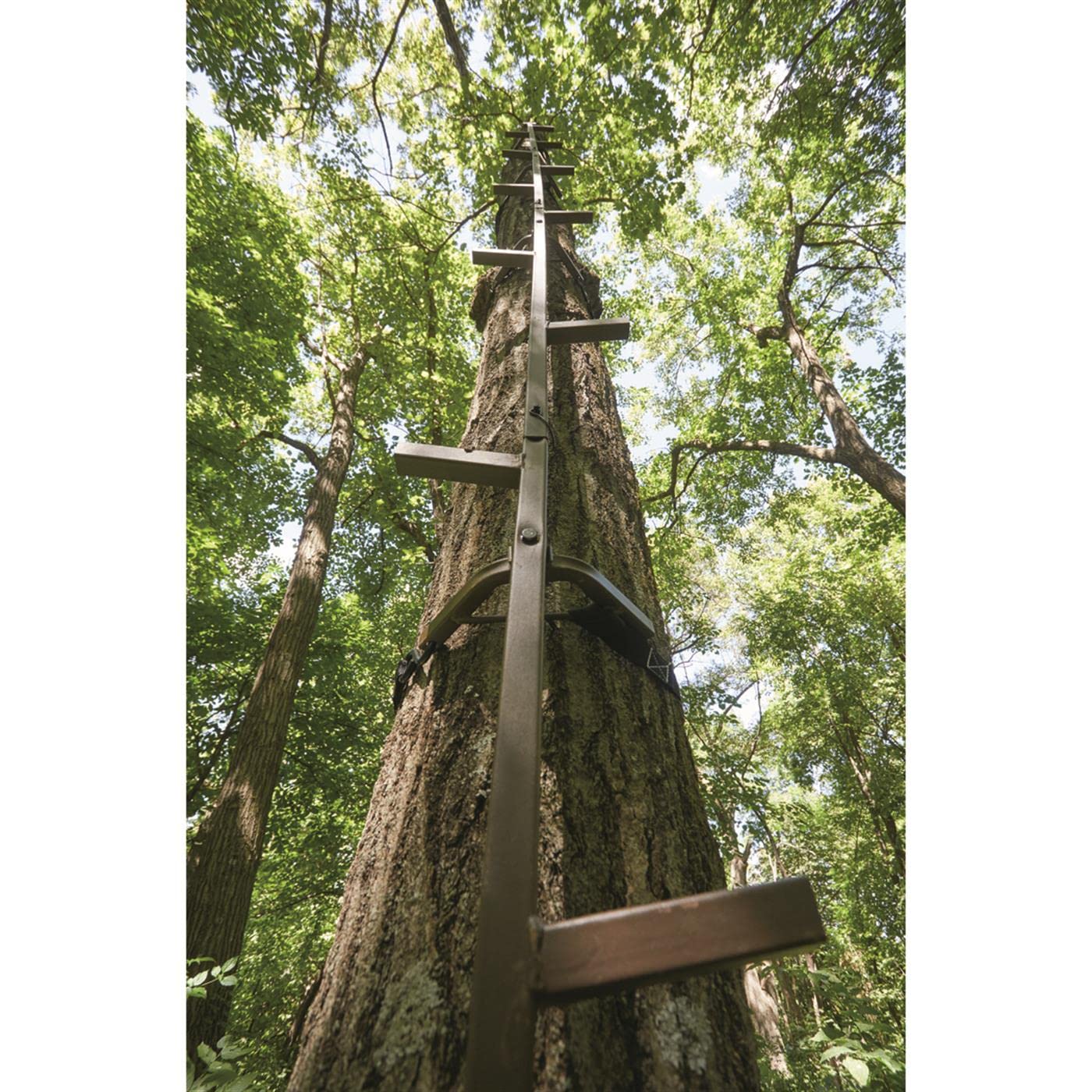 Guide Gear 5-foot sections provide portable climbing solution for field use