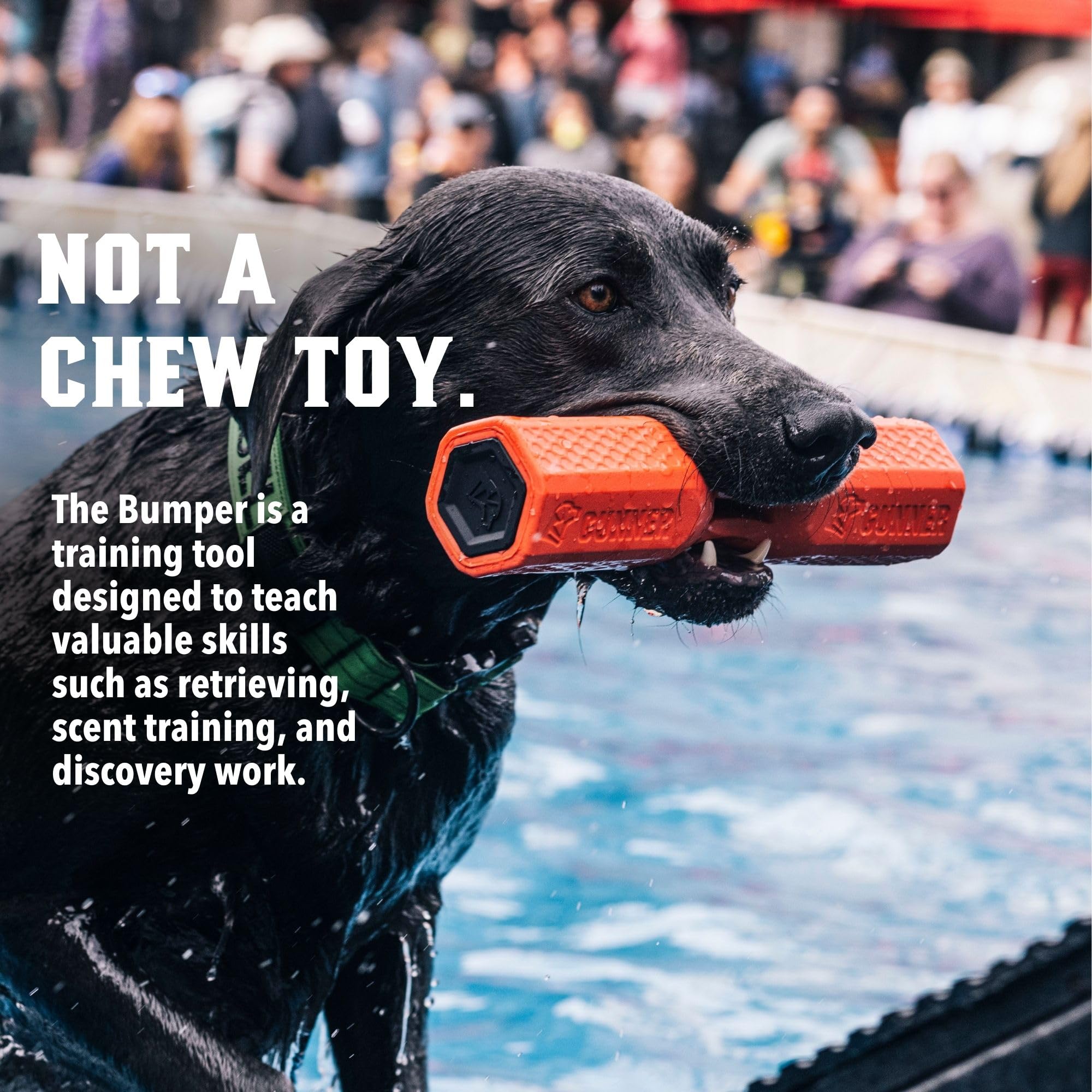 GUNNER dog training bumper orange easy-clean surface for quick post-session cleanup