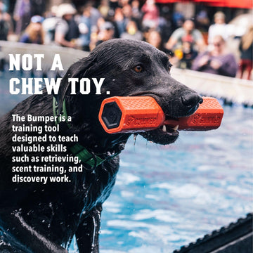 GUNNER dog training bumper orange easy-clean surface for quick post-session cleanup