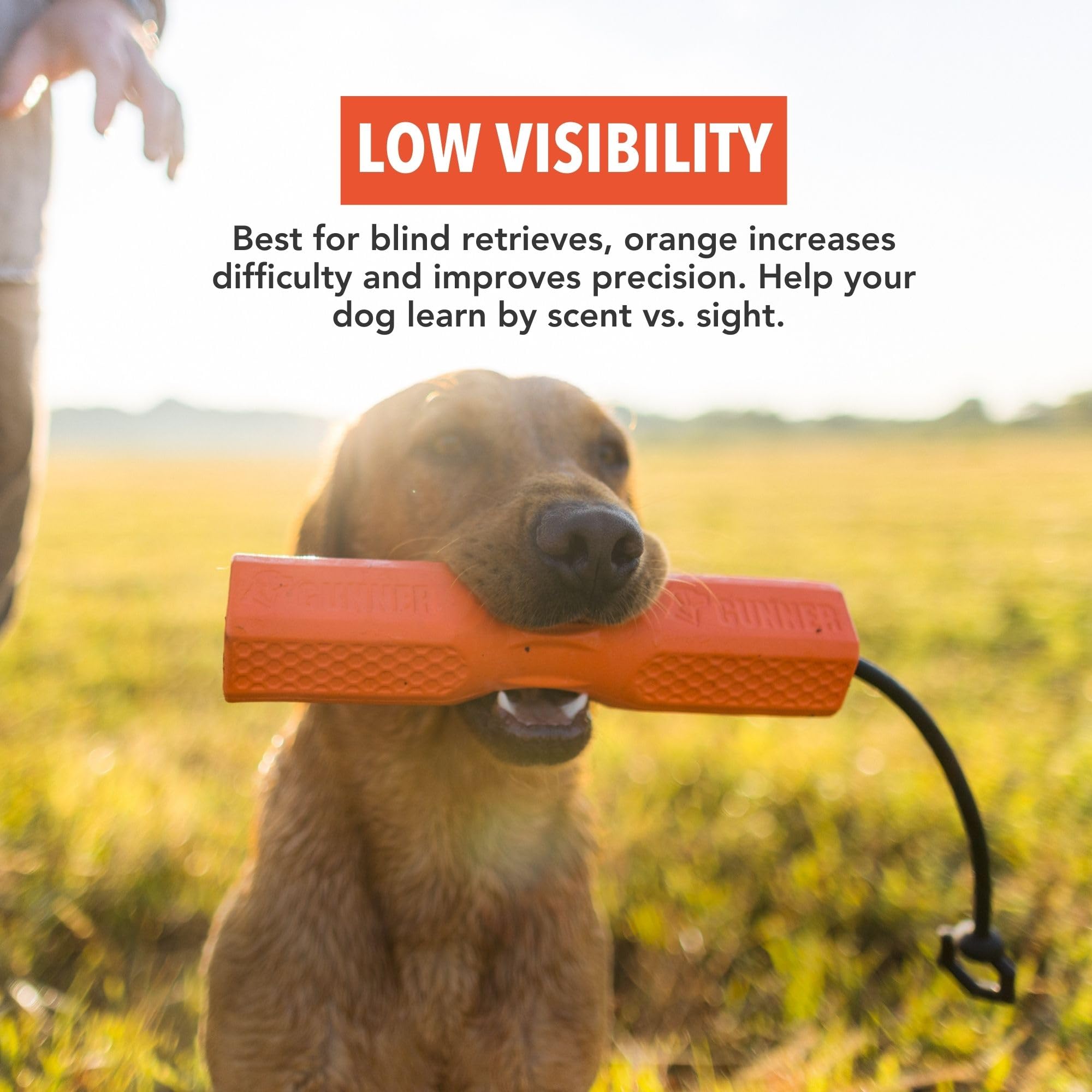GUNNER dog training bumper orange interior cavity enables simplified scent training setup