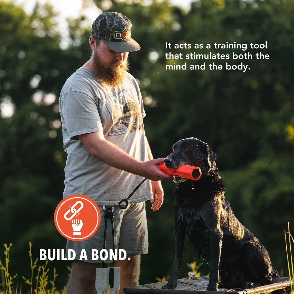 GUNNER dog training bumper orange removable cap detail supports scent training drills