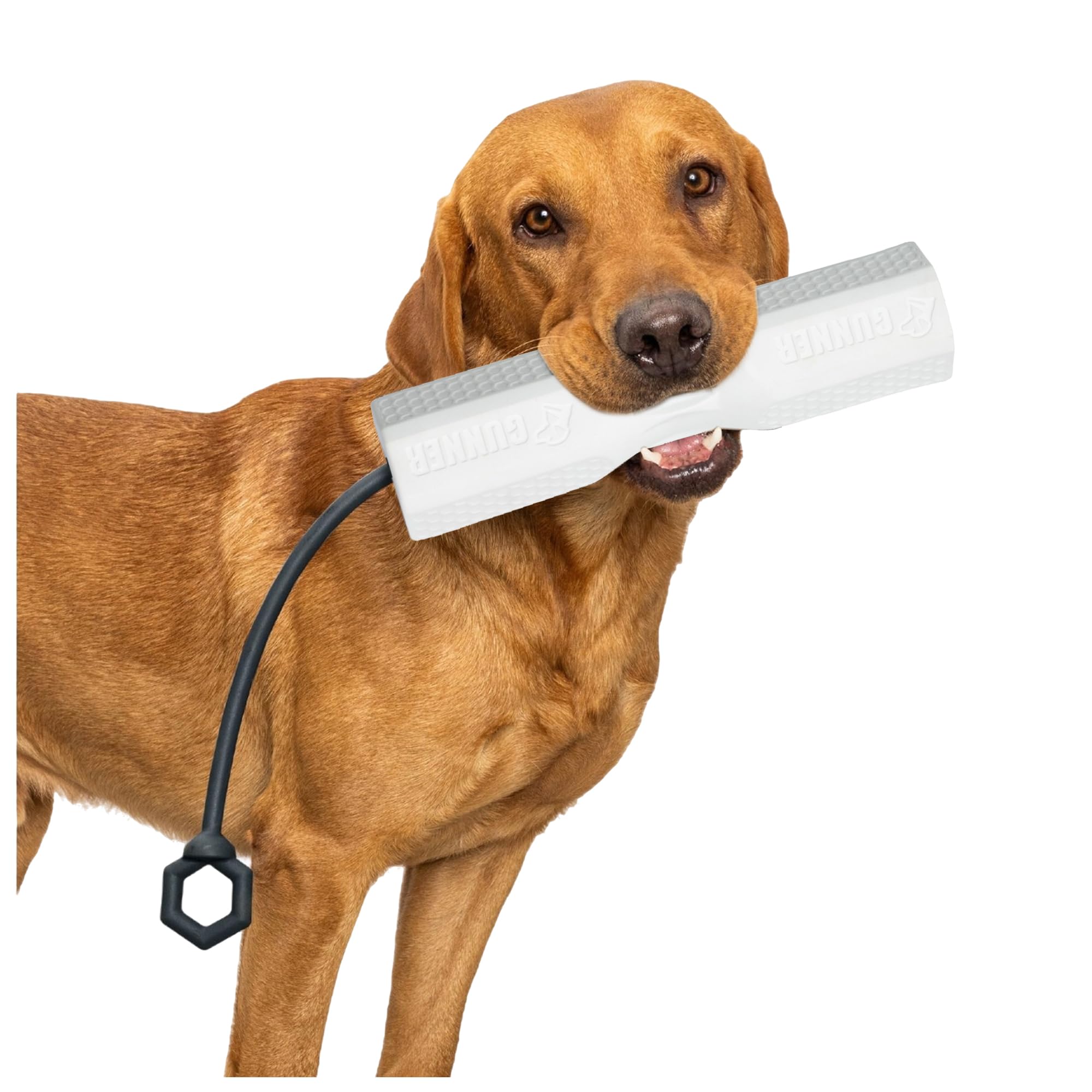 GUNNER dog training bumper white front view showcases high visibility for early-stage retrieves.
