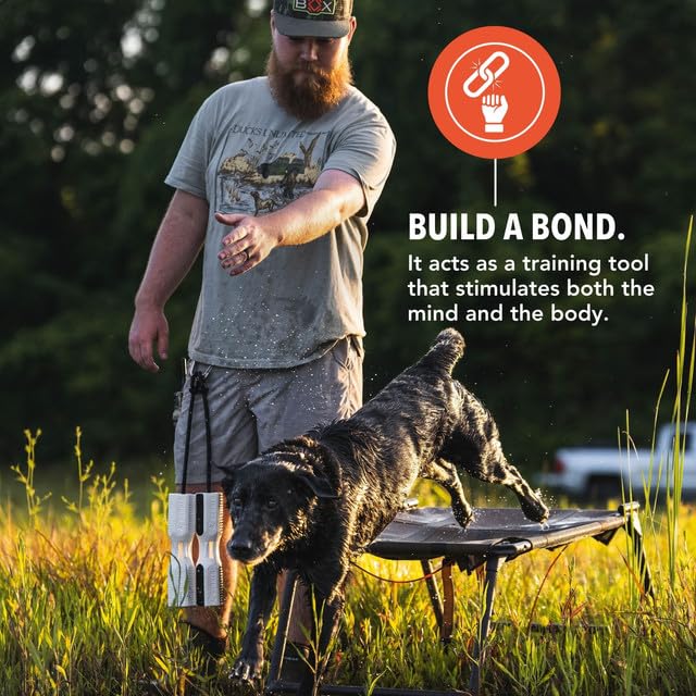 GUNNER dog training bumper white interior cavity enables focused scent exercises.