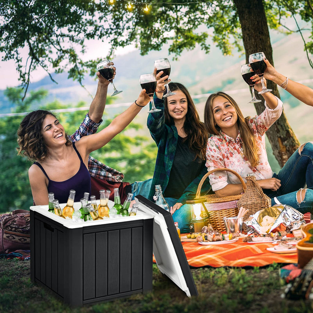 GYMAX cooler sturdy 220 lbs capacity doubles as a stool.
