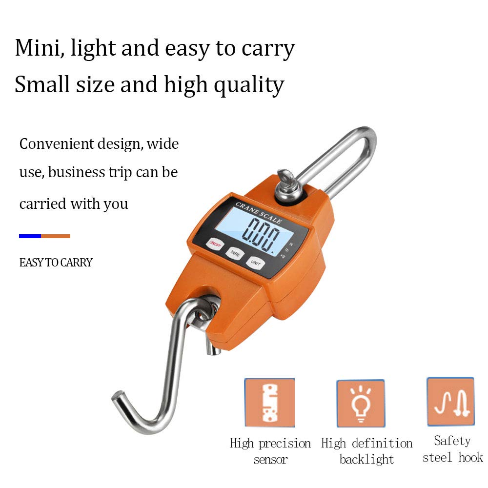 Close-up of stainless steel lifting ring and hook on the scale