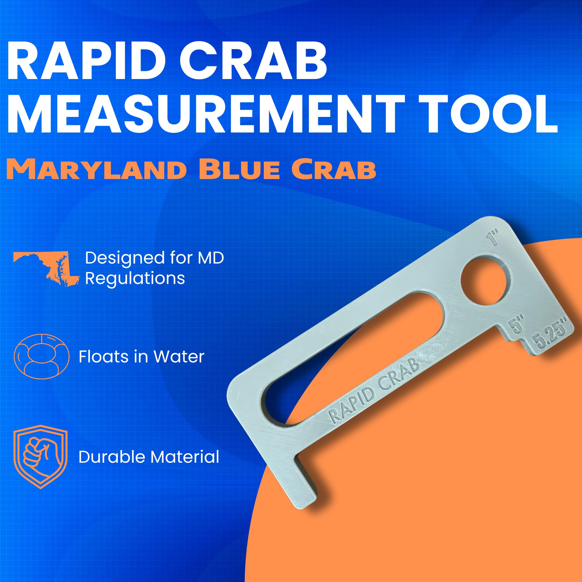 Hard-shell crab measured at 5.25 inches using regulation gauge
