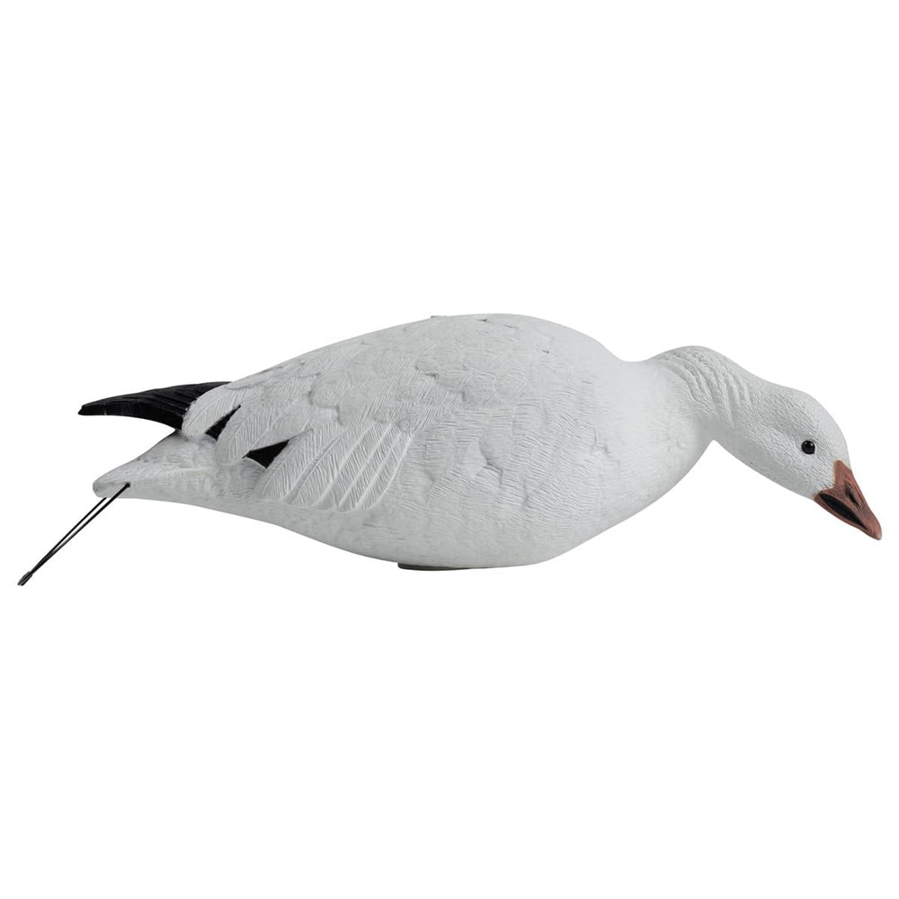 Hardcore Decoys Rugged Series juvenile Blue Active decoy introduces plumage variation