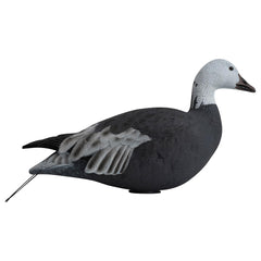 Hardcore Decoys Rugged Series juvenile Snow Active decoy with natural juvenile plumage