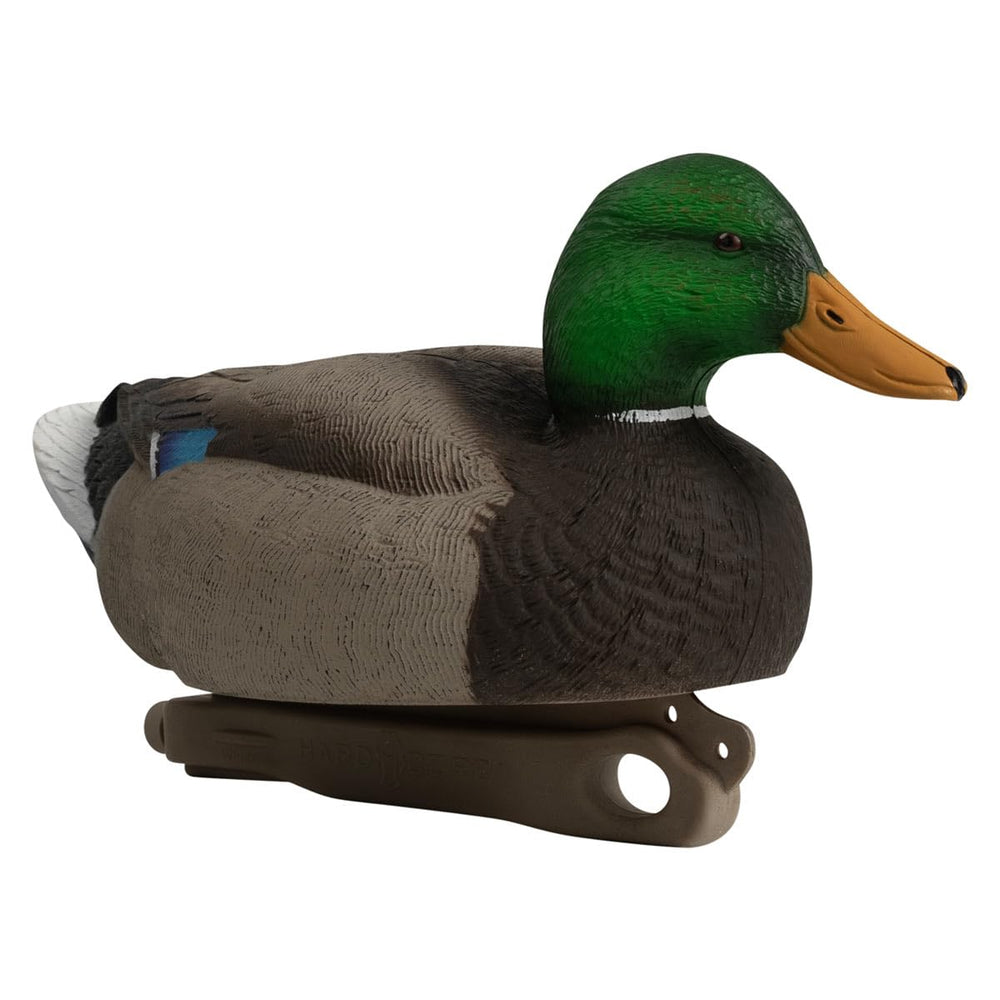 Hardcore Mallard Decoy Resting Hen, close-up on natural hen hues