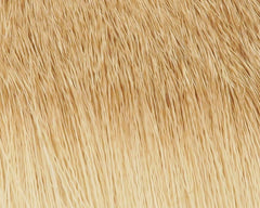 Hareline Coastal Deer Hair Bleached bundle offers buoyant fibers for larger, natural-feeling flies.