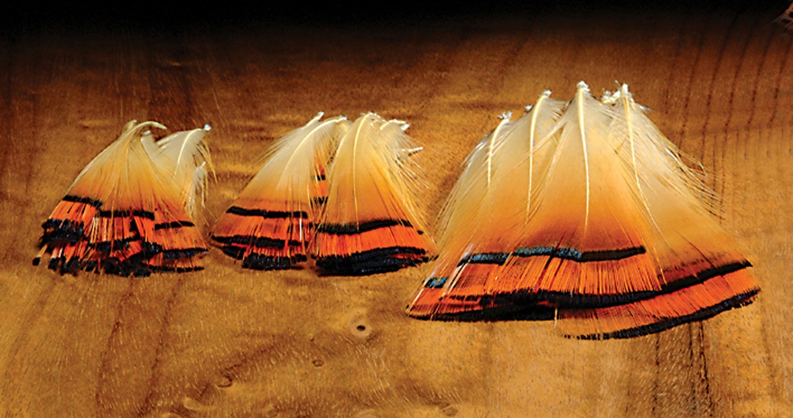 Hareline Dubbin Golden Pheasant Tippets in medium size for lifelike salmon fly tails