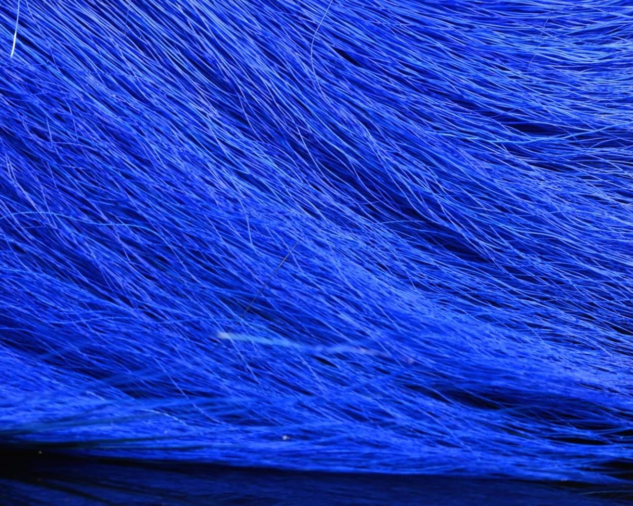 Hareline Dubbin Large Northern Bucktail Dark Blue for natural, durable fly tying tails.