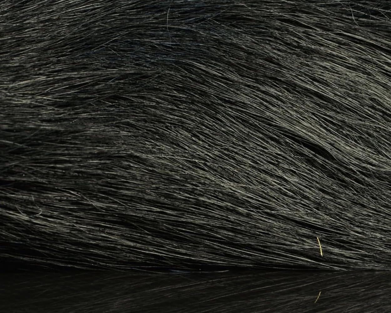 Hareline Dubbin bucktail dark blue showing even color and clean dye.