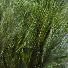 Hareline Dubbin Blood Quills 1oz pack for versatile fly tying.