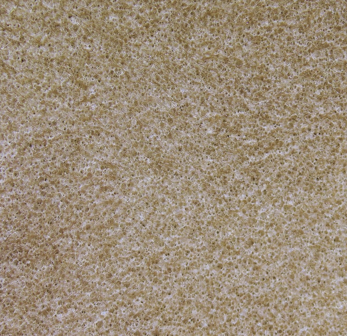 Hareline Dubbing Furry Foam 369 Tan for versatile fly patterns and lifelike textures.