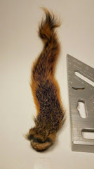 Hareline Dubbing Squirrel Tails in eight colors for precise fly tying and pattern matching.