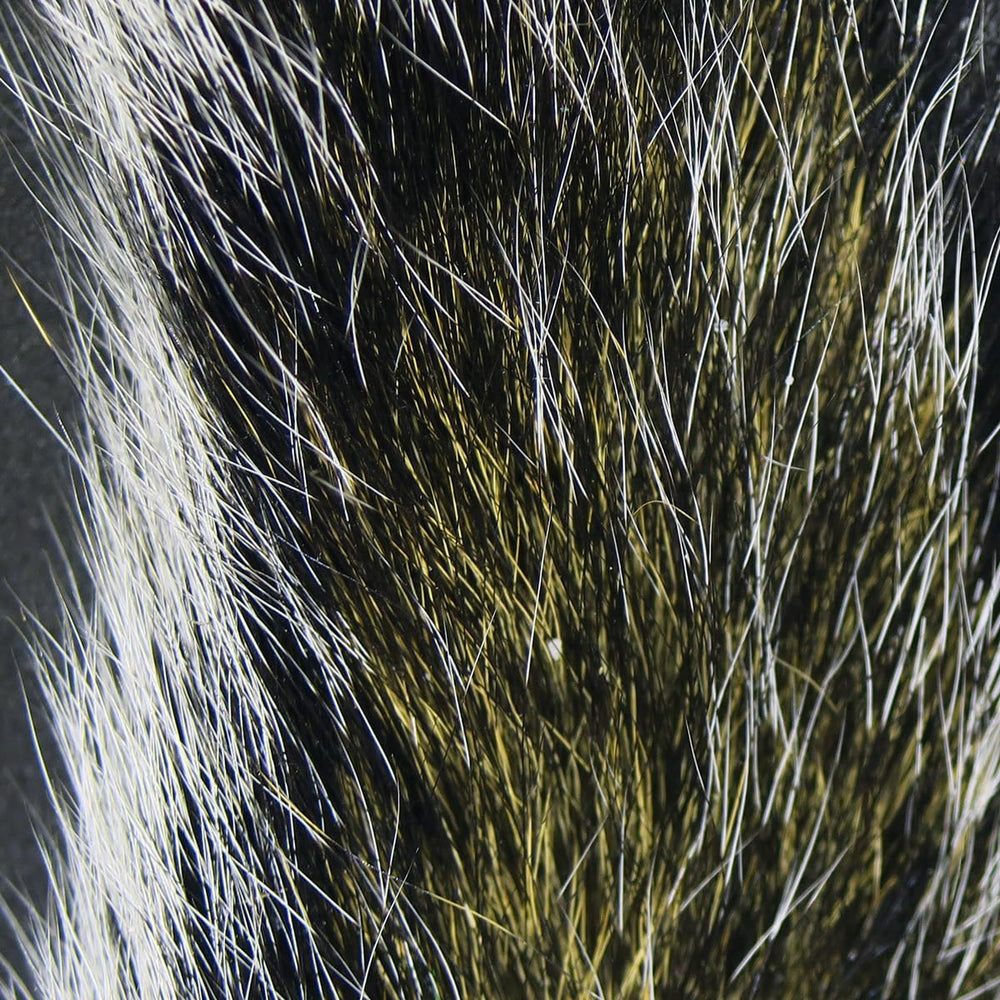 Hareline Gray Squirrel Tail Dyed bundle shows soft natural fibers for lifelike flies.