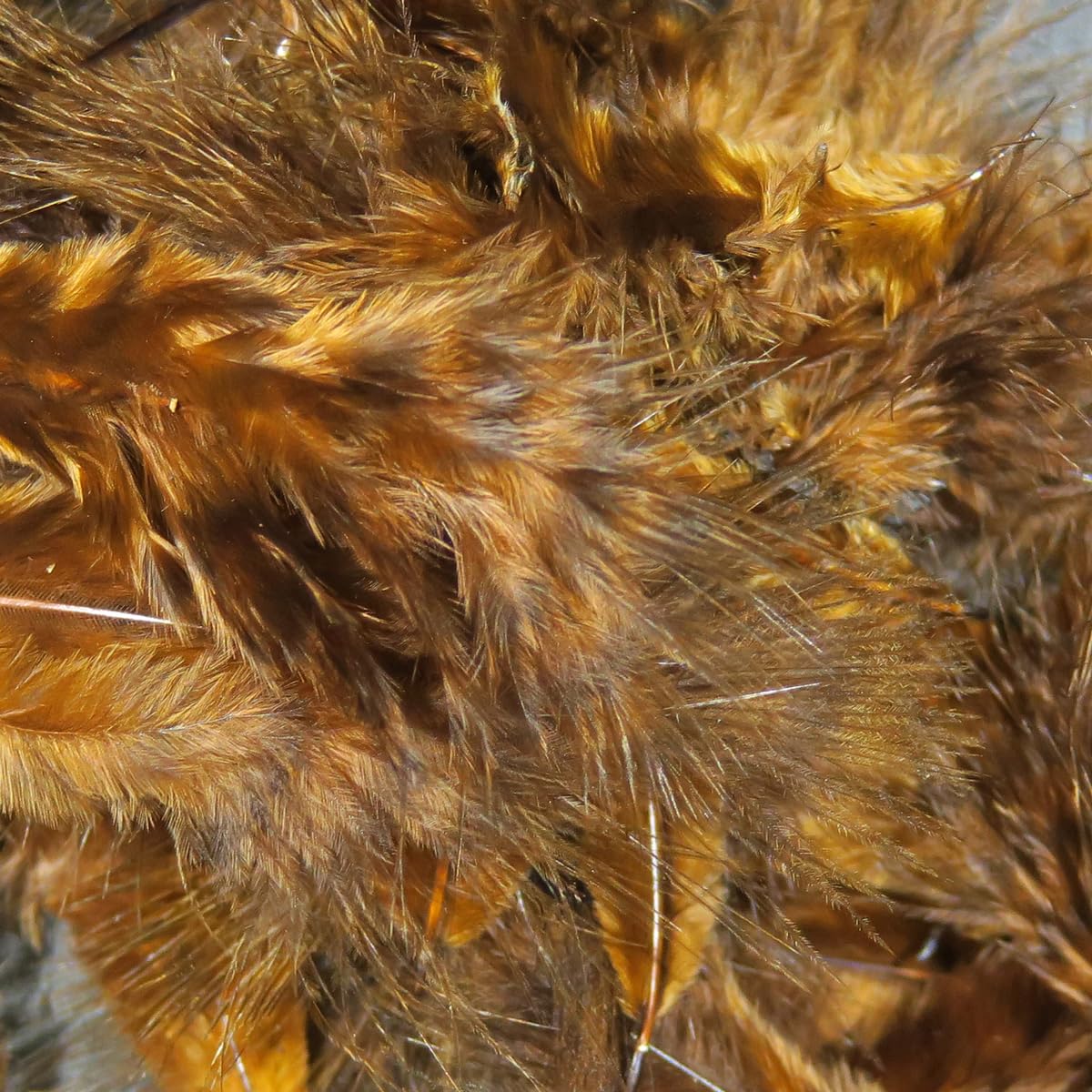 Hareline Grizzly Marabou Brown closeup highlighting barred fibers for visibility.