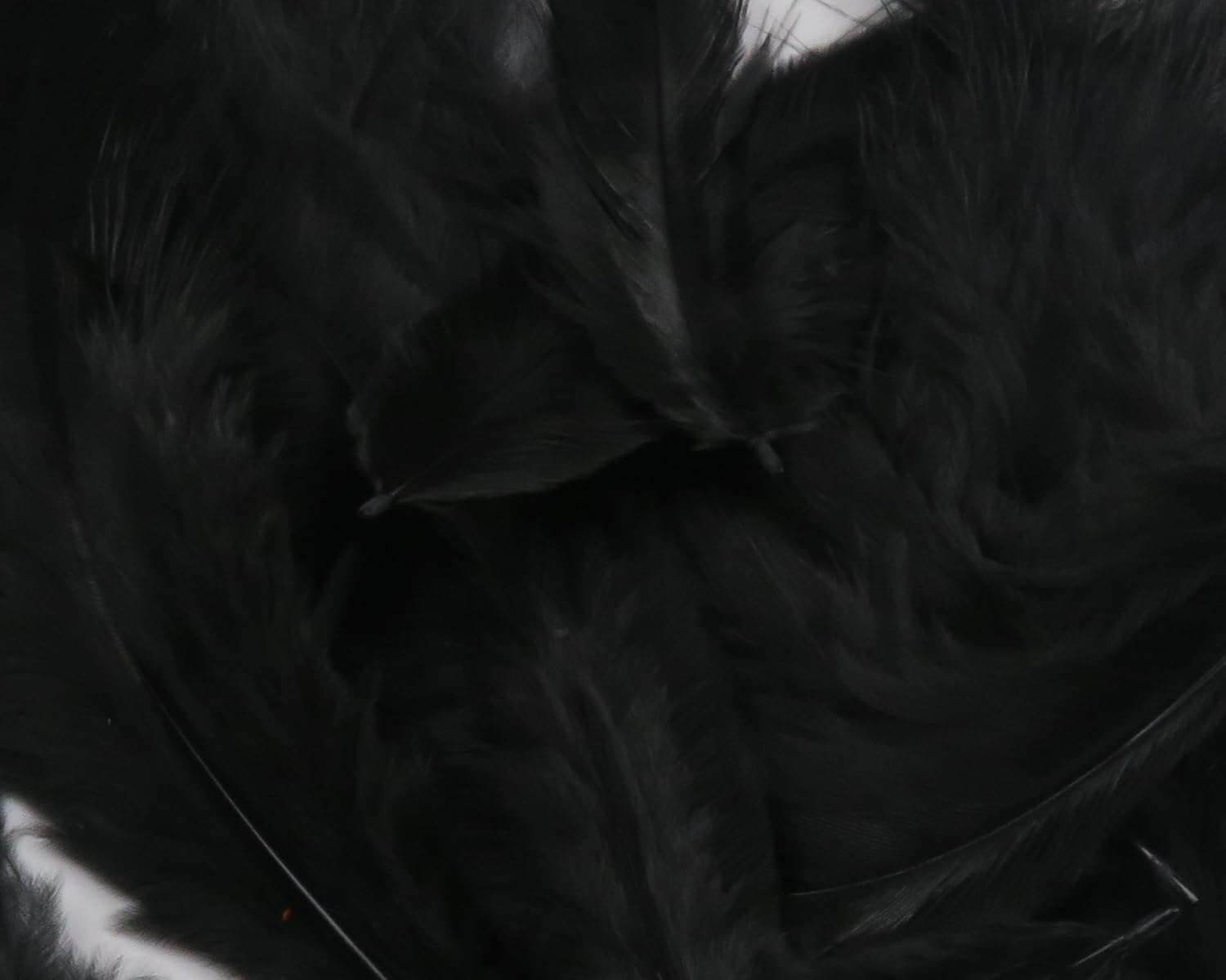 Hareline Grizzly Soft Hackle Black feathers close-up for lifelike movement in wet flies.