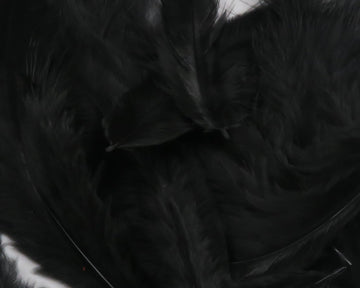 Hareline Grizzly Soft Hackle Black feathers close-up for lifelike movement in wet flies.