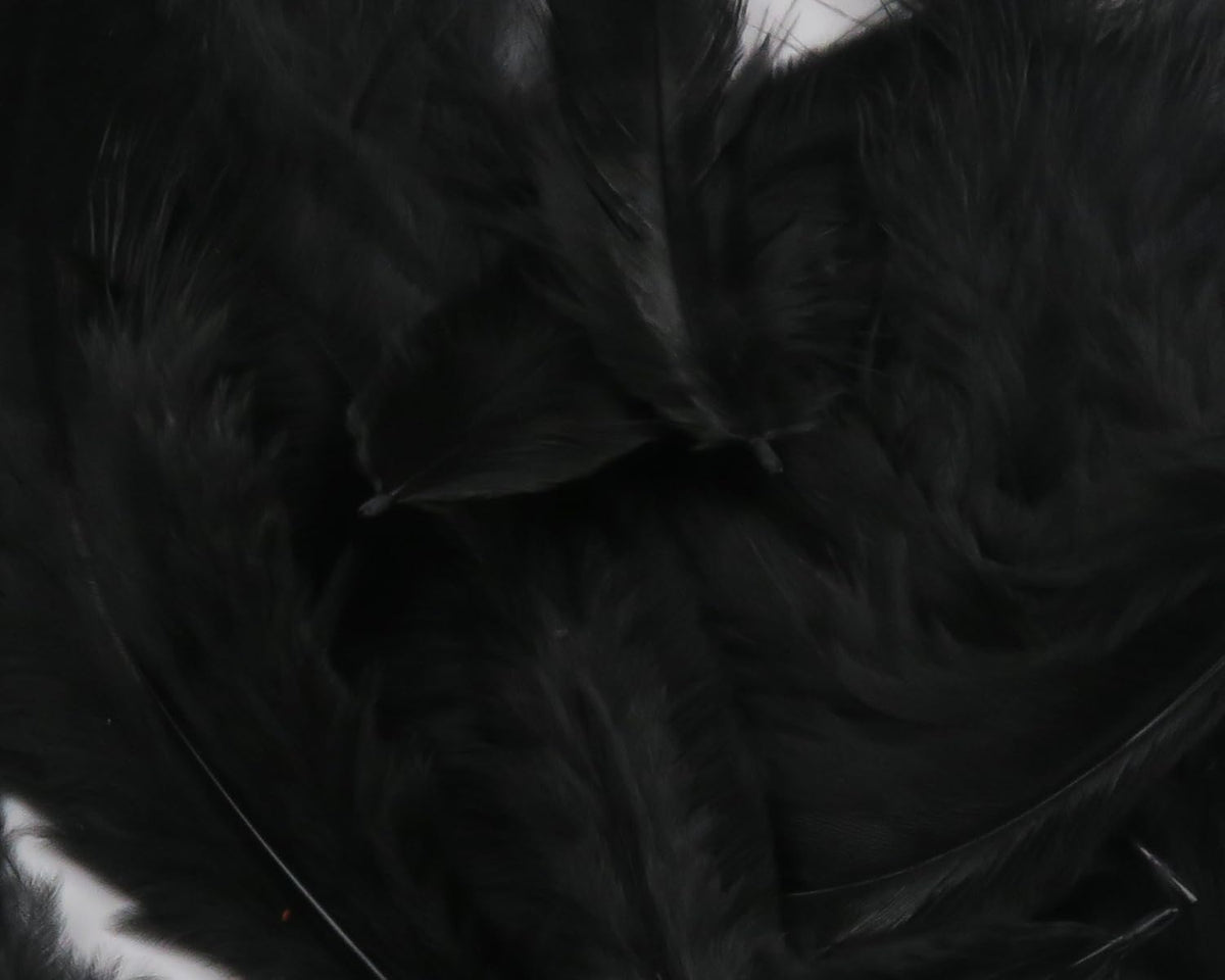 Hareline Grizzly Soft Hackle Black feathers close-up for lifelike movement in wet flies.