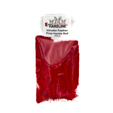 Hareline Intruder Feather Prop Hackle in red adds stiffness for robust intruder flies.