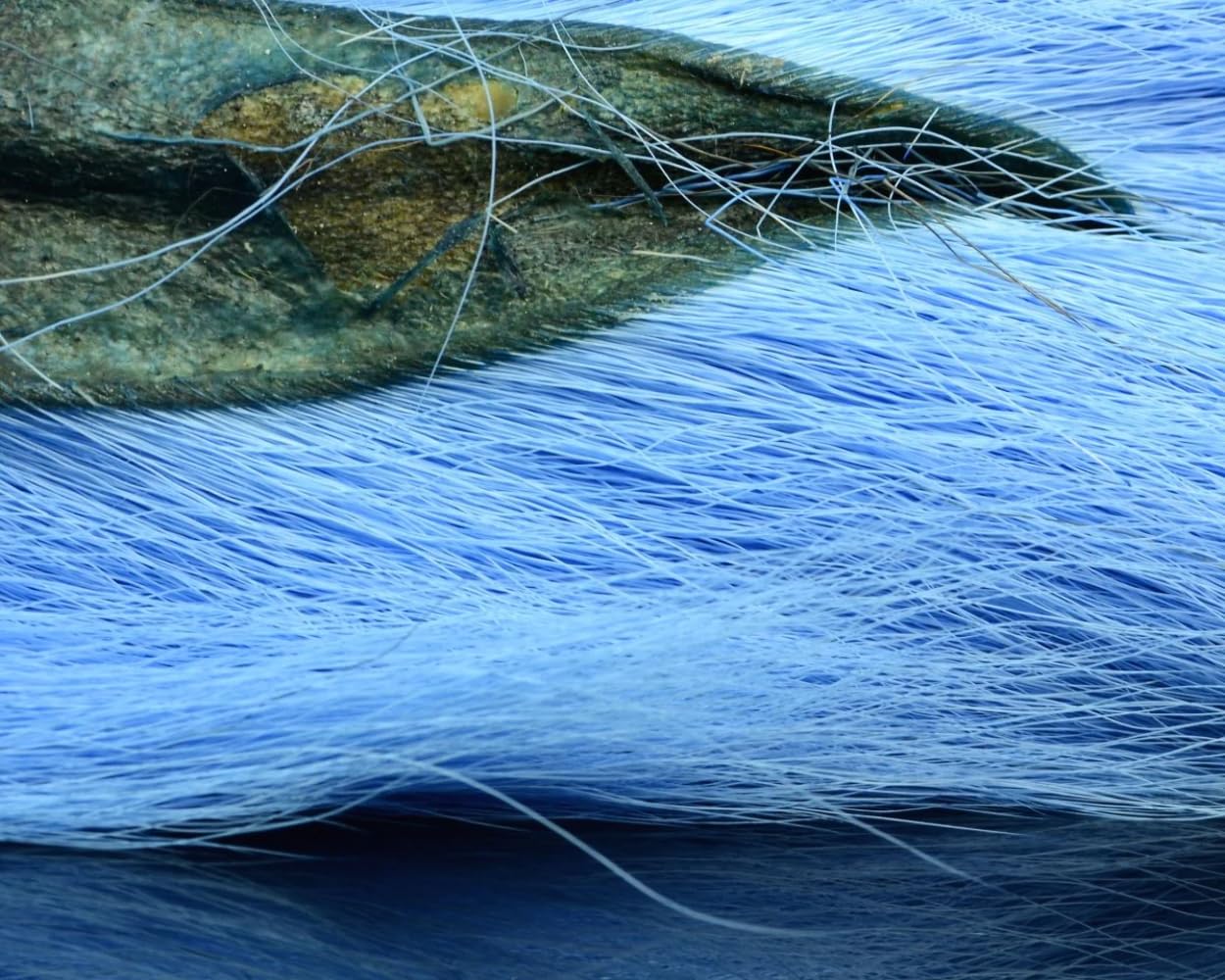 Hareline Northern Bucktail close-up shows natural texture for lifelike fly tails.