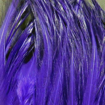 Hareline Saltwater Neck Hackle Purple 298 feathers for large streamer patterns with lifelike water movement