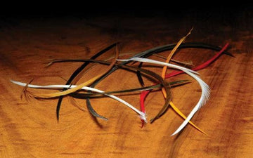 Hareline Stripped Goose Biots Brown for stonefly tails and segmented bodies on small flies