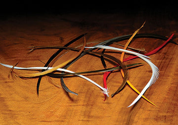 Hareline Stripped Goose Biots Gray packaging highlights quality for reliable fly tying projects.