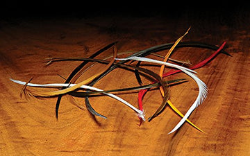 Hareline Stripped Goose Biots stonefly components for realistic fly tying patterns