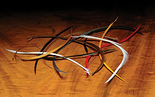 Hareline Stripped Goose Biots stonefly components for realistic fly tying patterns