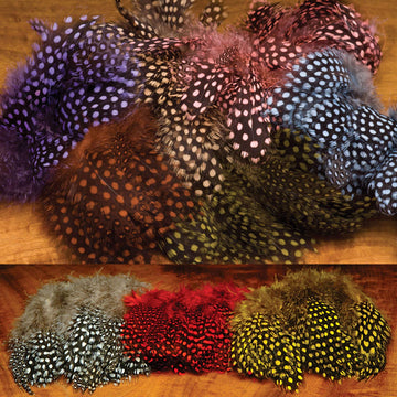 Hareline Strung Guinea Feathers Purple ideal for tails and soft hackle flies.