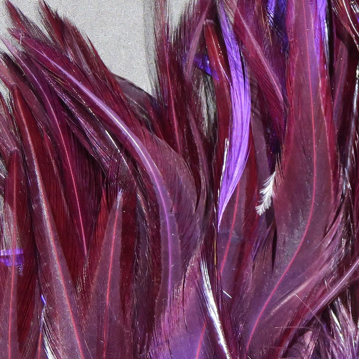 Hareline purple saddle hackle close-up for versatile woolly bugger tying.