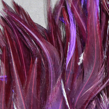 Hareline purple saddle hackle close-up for versatile woolly bugger tying.