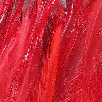 Hareline woolly bugger saddle hackle 6-7 inch blood red for durable tails.