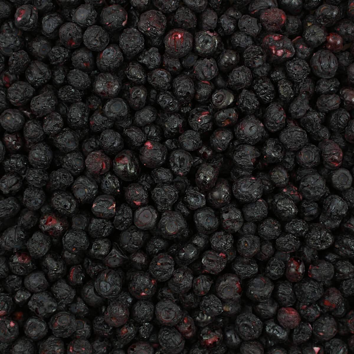 Harmony House blueberries in a bowl show bright color and snack-ready appeal.