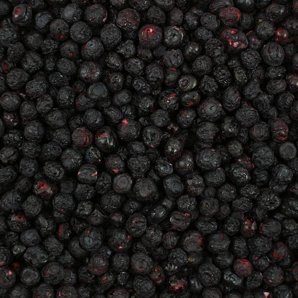 Harmony House blueberries in a bowl show bright color and snack-ready appeal.