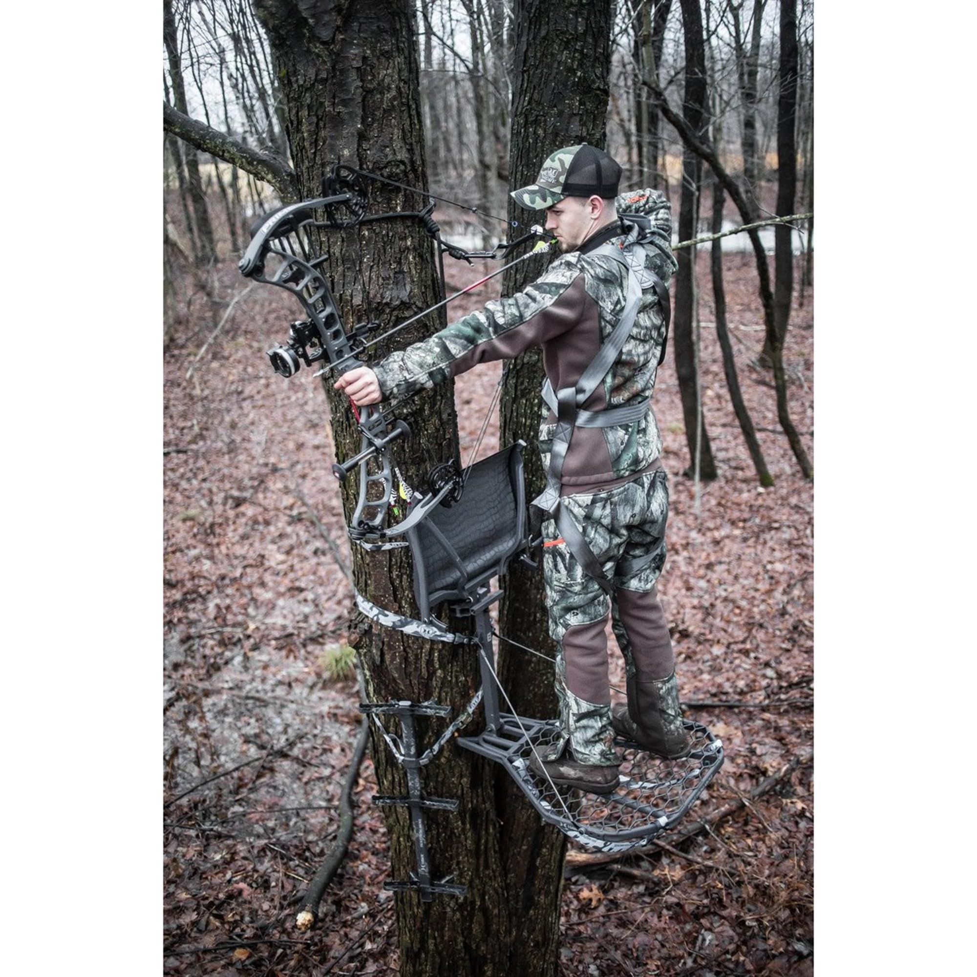 Hawk Cruzr tree-digger teeth secure mounting on bark during hunts.