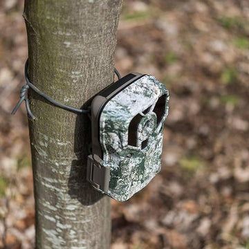 Hawk rubber wire used for hanging trail cameras securely